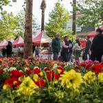 Bayındır 26. Uluslararası Çiçek Festivali'nin ilk Günü Dolu Dolu Geçti
