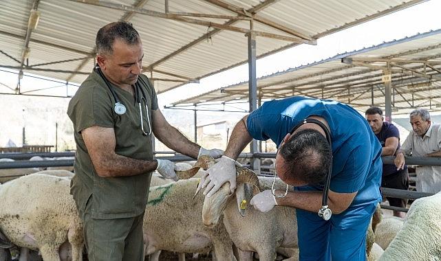 Karşıyaka, Kurban Bayramı'na hazır!