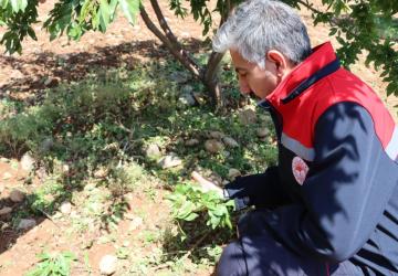 İl Müdürü Akkan, sahada dolu zararını inceliyor