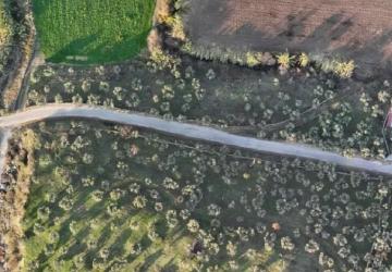Muğla Milas’ta Kırsal Mahalleye Ulaşımı Kolaylaştıran Yatırım