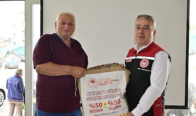 Ayçiçeği Üreticilerine Yerli Tohum Desteği Ayçiçeği Üreticilerine Yerli Tohum Desteği