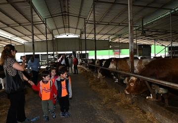 Çiğli Belediyesi'nden çocuklara doğa ve hayvanlarla iç içe unutulmaz bir gün