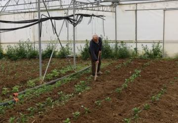 Kocaeli’de Üreticiye Yüzde 50 Hibeli Sera Desteği