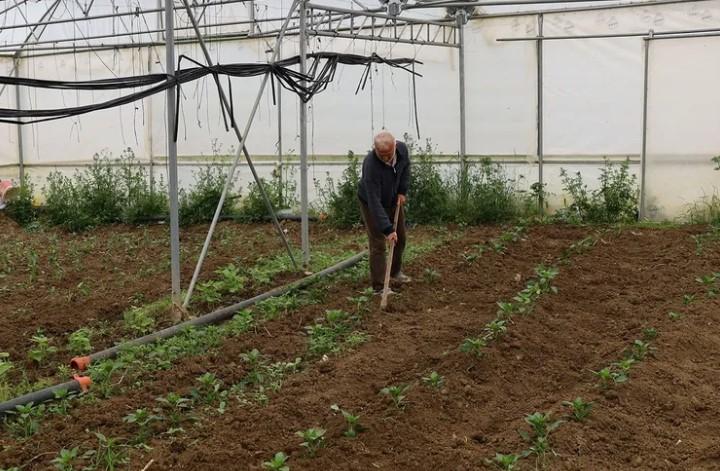 Kocaeli’de Üreticiye Yüzde 50 Hibeli Sera Desteği Kocaeli’de Üreticiye Yüzde 50 Hibeli Sera Desteği