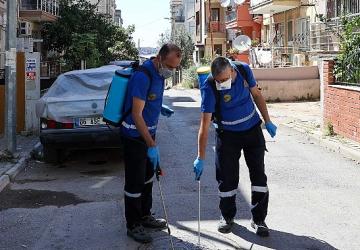 Buca'da Haşere ve Zararlılara Karşı İlaçlama Seferberliği