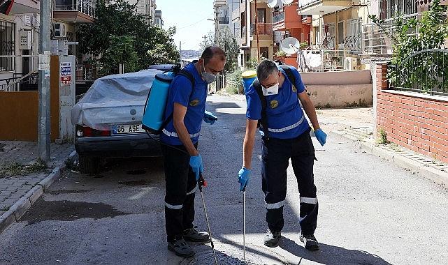 Buca'da Haşere ve Zararlılara Karşı İlaçlama Seferberliği Buca'da Haşere ve Zararlılara Karşı İlaçlama Seferberliği