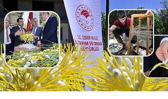 Beydağ'da Kozalar İpek Açtı Beydağ'da Kozalar İpek Açtı