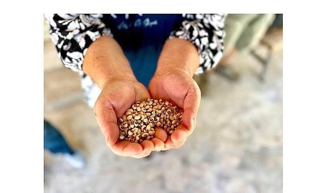 Köylünün toprağına, Urla'nın börülcesine sahip çıkıyoruz Köylünün toprağına, Urla'nın börülcesine sahip çıkıyoruz