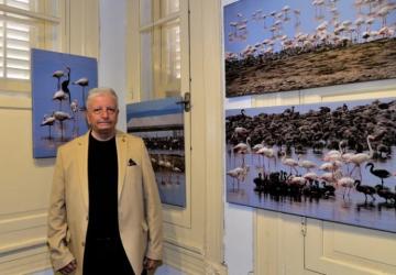 Flamingo Adası, Bornova’da Sanatseverlerle Buluştu