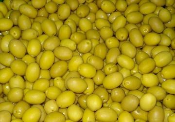 Sofralık zeytin ihracatı 250 milyon dolara koşuyor