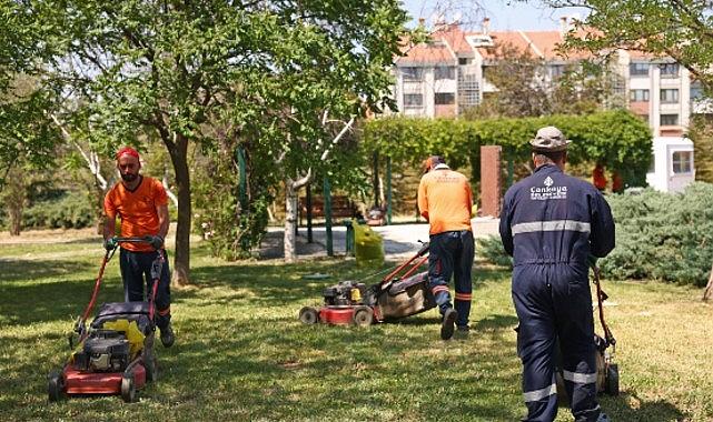 Çankaya Parklarında Çimler Biçiliyor, Otlar Temizleniyor Çankaya Parklarında Çimler Biçiliyor, Otlar Temizleniyor