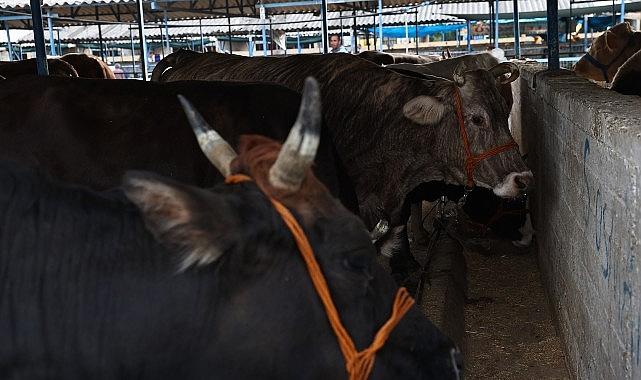 Nilüfer Kurban Bayramı'na hazır