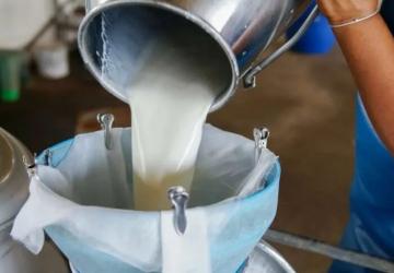 Türkiye’de Süt Üretiminde Artış: Mart Ayında 1 Milyon 15 Bin Ton Toplandı