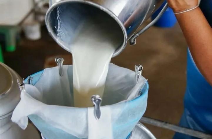Türkiye’de Süt Üretiminde Artış: Mart Ayında 1 Milyon 15 Bin Ton Toplandı Türkiye’de Süt Üretiminde Artış: Mart Ayında 1 Milyon 15 Bin Ton Toplandı
