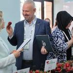 Emiralem Çilek Festivali rekor kırdı: milyonu geçti!