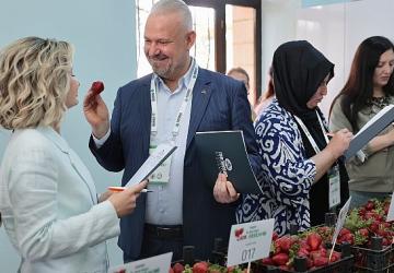 Emiralem Çilek Festivali rekor kırdı: milyonu geçti!