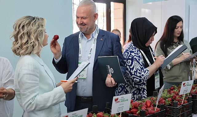 Emiralem Çilek Festivali rekor kırdı: milyonu geçti! Emiralem Çilek Festivali rekor kırdı: milyonu geçti!