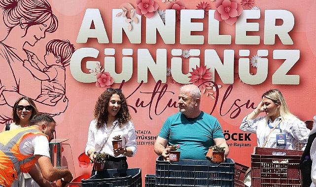 Büyükşehir'den 'Annelere' 25 bin çiçek Büyükşehir'den 'Annelere' 25 bin çiçek