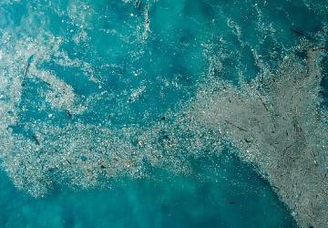 Doğayla Uyumlu Yaşamalıyız: Plastik Kirliliğine Son Ver, Yaşamı Koru!