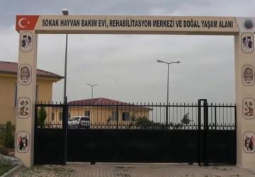 Siirt’te Sahipsiz Hayvanlara Umut Olacak Büyük Proje