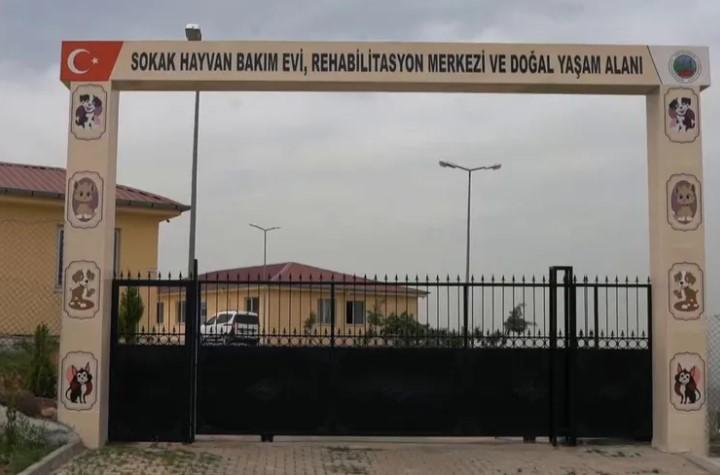 Siirt’te Sahipsiz Hayvanlara Umut Olacak Büyük Proje Siirt’te Sahipsiz Hayvanlara Umut Olacak Büyük Proje