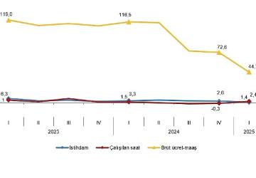 İşgücü Girdi Endeksleri, I. Çeyrek: Ocak-Mart, 2025