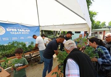 Efes Tarlası Yaşam Köyü'nün Yerel Tohumlardan Üretilen Fideleri Efes Selçuk Halkıyla Buluştu