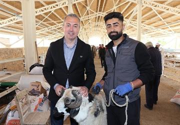 Yeni Kurban Pazarı Alıcının da Satıcının da Yüzünü Güldürdü...