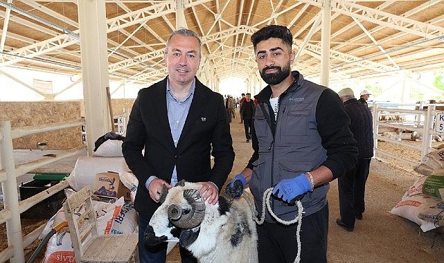 Yeni Kurban Pazarı Alıcının da Satıcının da Yüzünü Güldürdü... Yeni Kurban Pazarı Alıcının da Satıcının da Yüzünü Güldürdü...