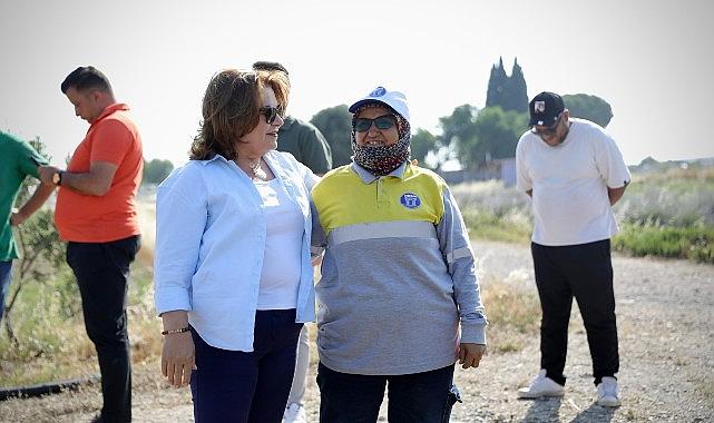 Başkan Gençay, kekik hasadına katıldı Başkan Gençay, kekik hasadına katıldı
