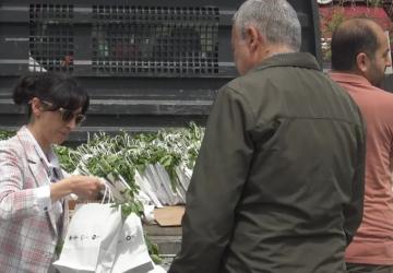 Malatya Büyükşehir’den Ücretsiz Fide Desteği
