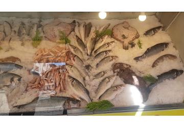 İzmir'de Su Ürünleri Denetimlerinde Ceza Yağdı: Yasa Dışı Avcılığa Geçit Yok