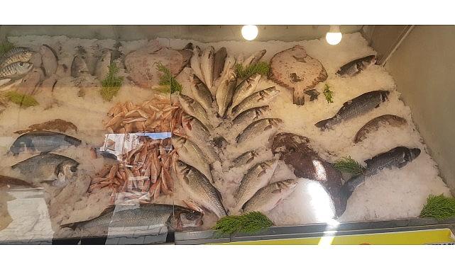 İzmir'de Su Ürünleri Denetimlerinde Ceza Yağdı: Yasa Dışı Avcılığa Geçit Yok İzmir'de Su Ürünleri Denetimlerinde Ceza Yağdı: Yasa Dışı Avcılığa Geçit Yok