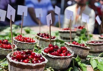 Başkan Görkem Duman'dan Kiraz Festivali'ne davet