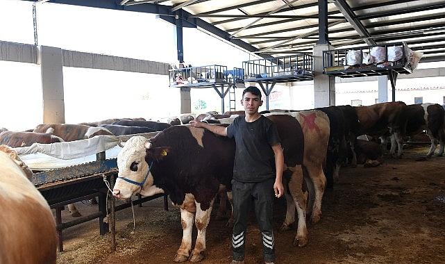 Başkan Aydın kurban pazarını ziyaret etti Başkan Aydın kurban pazarını ziyaret etti