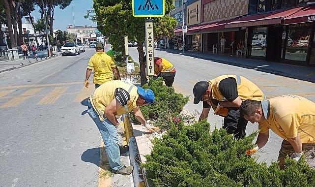 Başkan Çerçioğlu'nun Hizmetleri Kuşadası'nı Doğanın Yeşil Tonları ile Buluşturuyor