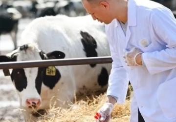 Mart Ayında Tarımsal Girdi Fiyatları Arttı, Veteriner Harcamaları Öne Çıktı