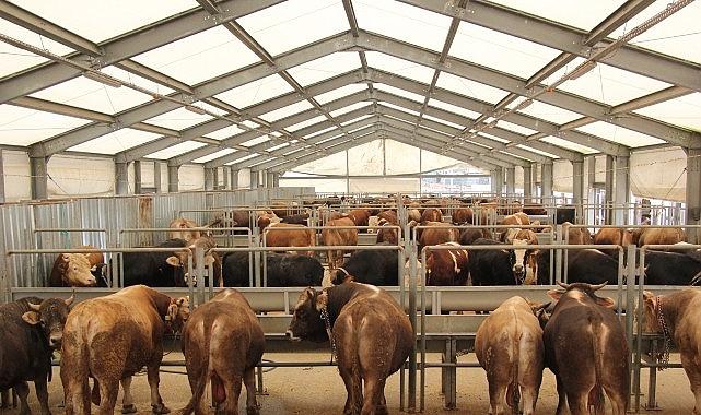 İBB'den Kurban Bayramı İçin 4 Modern Tesis İBB'den Kurban Bayramı İçin 4 Modern Tesis