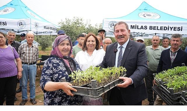 Milas Belediyesi, ata tohumlarını yaşatmak için üreticilere fide dağıtımı gerçekleştirdi Milas Belediyesi, ata tohumlarını yaşatmak için üreticilere fide dağıtımı gerçekleştirdi