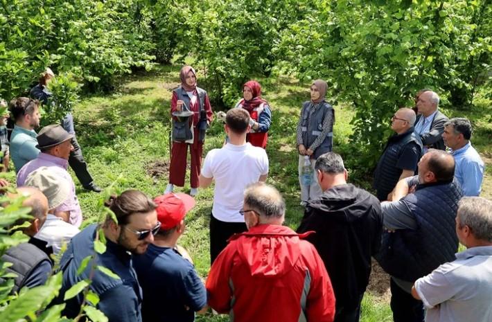 Sakarya’da Çiftçilere Feromon Tuzağı Desteği Sakarya’da Çiftçilere Feromon Tuzağı Desteği