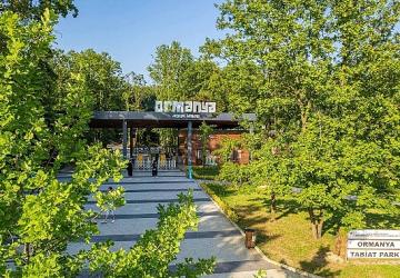 Ormanya'da yaz hazırlıkları tamam