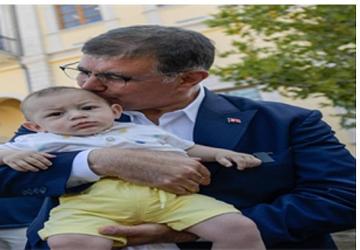 Devrilen çınar ağacı yerine yenisi dikildi