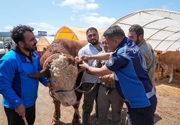 Gaziemir'de kurban satış yerlerinde sıkı denetim