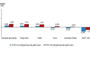 Finansal Yatırım Araçlarının Reel Getiri Oranları, Mayıs 2025