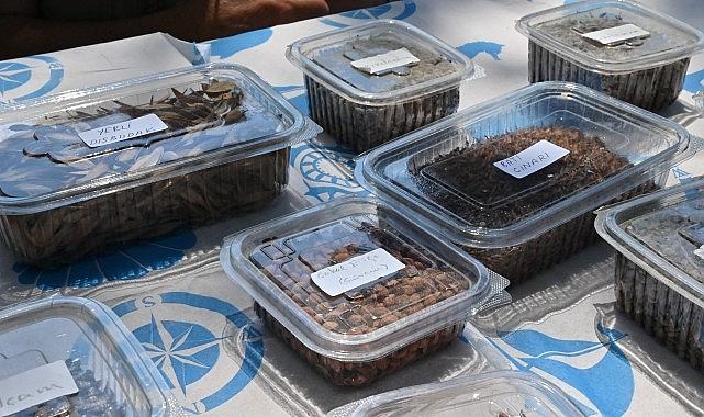 Manisa Tarzanı'nın İzinde Tohumlar Doğayla Buluşacak Manisa Tarzanı'nın İzinde Tohumlar Doğayla Buluşacak