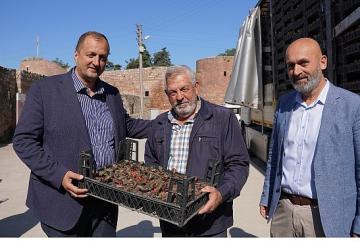Bayram Öncesi İznik'te Mezarlıklar Çiçek Açıyor