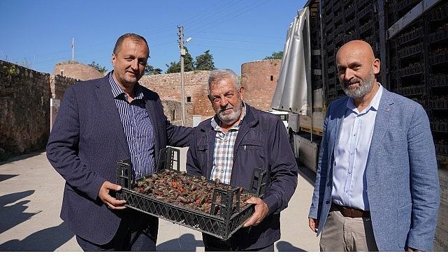 Bayram Öncesi İznik'te Mezarlıklar Çiçek Açıyor