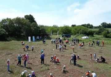 İnegöl'de Çevre Haftasında 150 Fidan Toprakla Buluştu