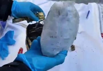 Kargo kılıfıyla uyuşturucu sevkiyatı yapan suç örgütüne büyük darbe - Videolu Haber