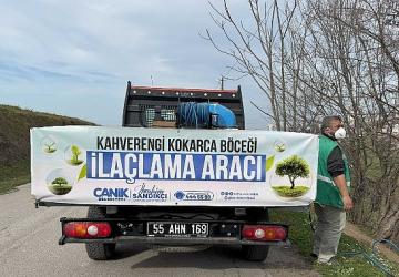 Canik'te Kokarca Böceğine Karşı Mücadelede Atak